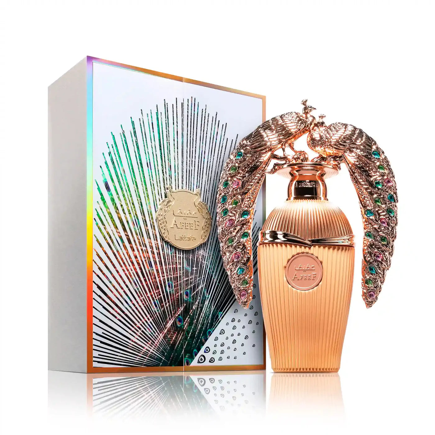 AFEEF Edp