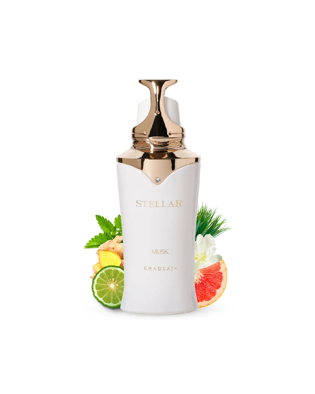 STELLAR MUSK EDP