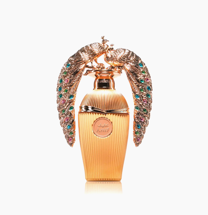 AFEEF Edp