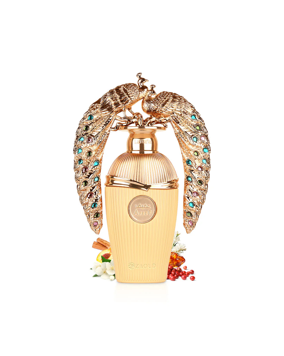 AFEEF Edp